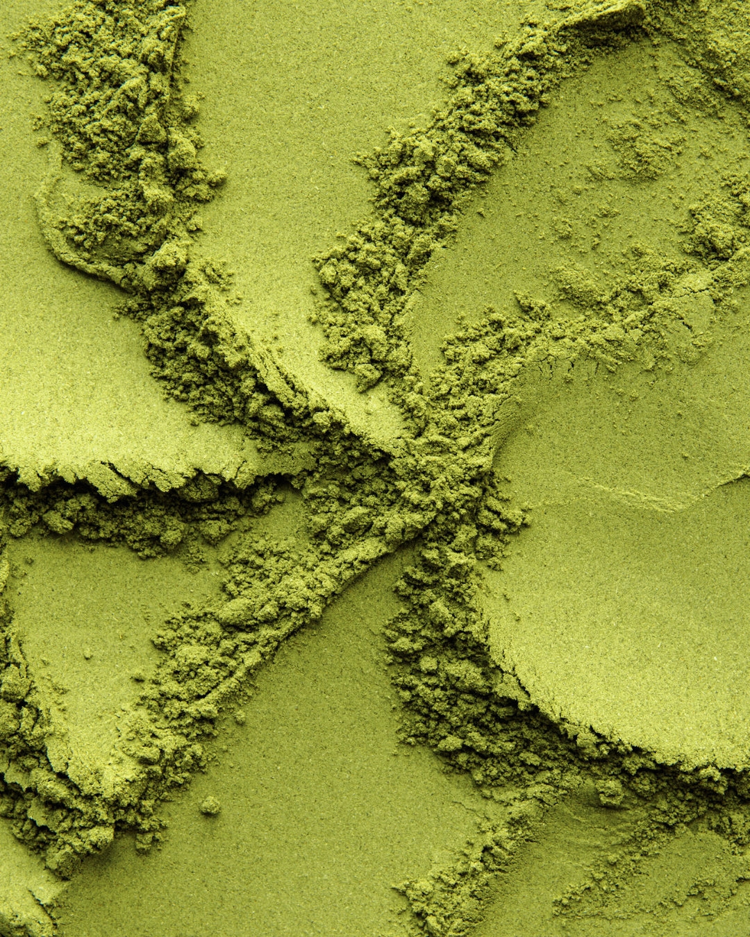 Moringa Magic: The Superfood Everyone’s Talking About!💚