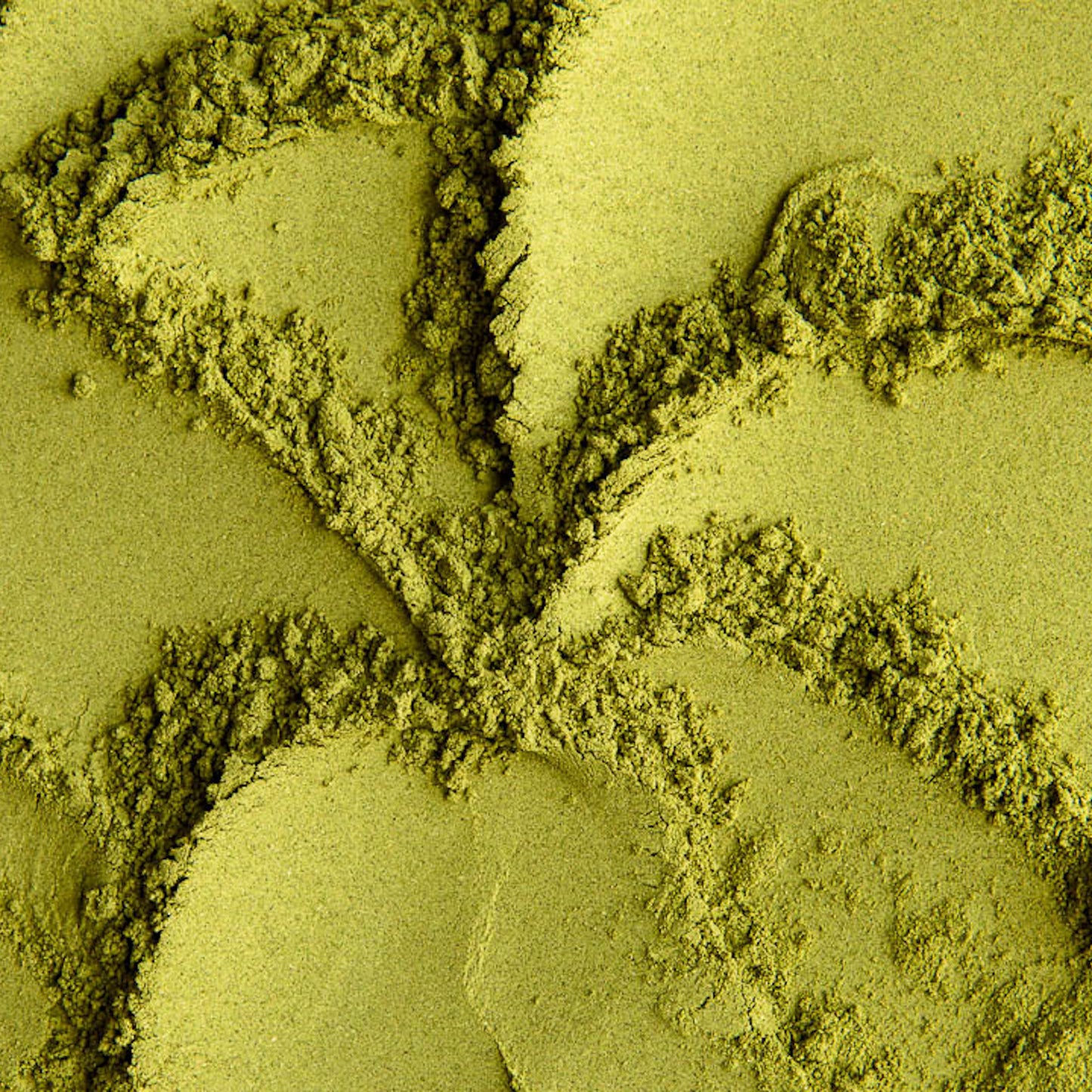 Moringa Powder