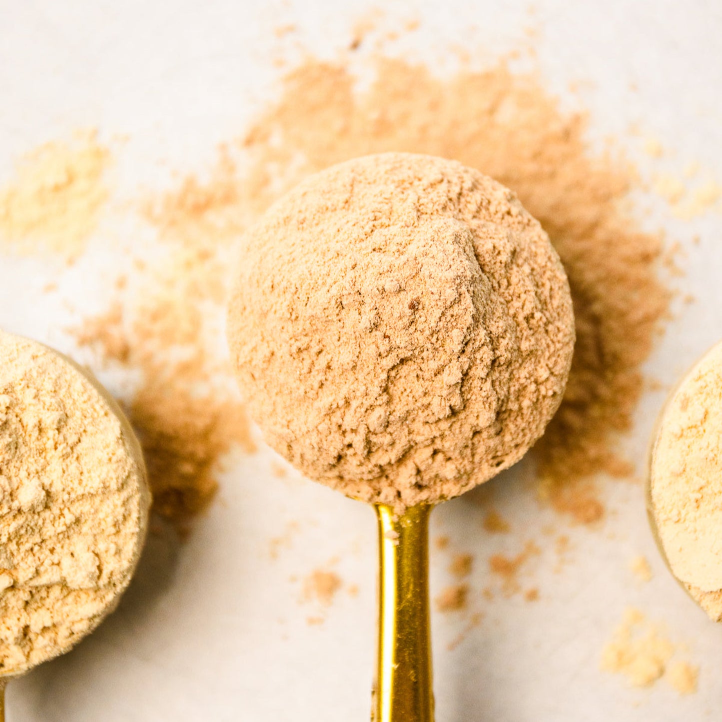 Chocolate Protein Powder