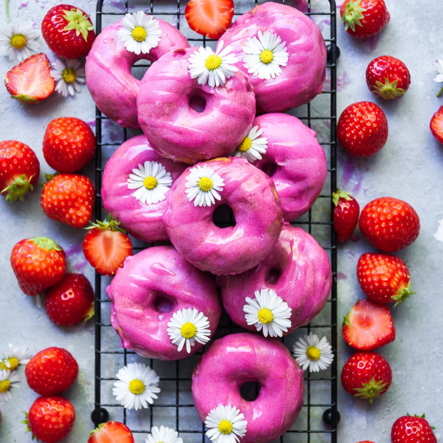 The Rainbow Energy Bundle