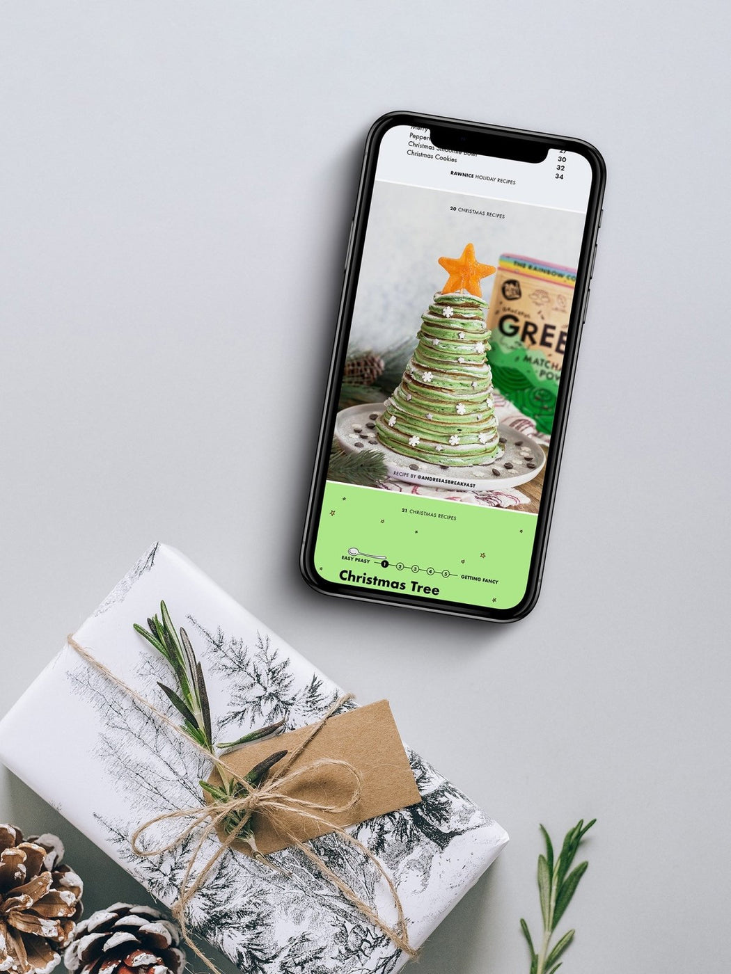 E-book: Holiday Recipes (16 recipes) - Rawnice